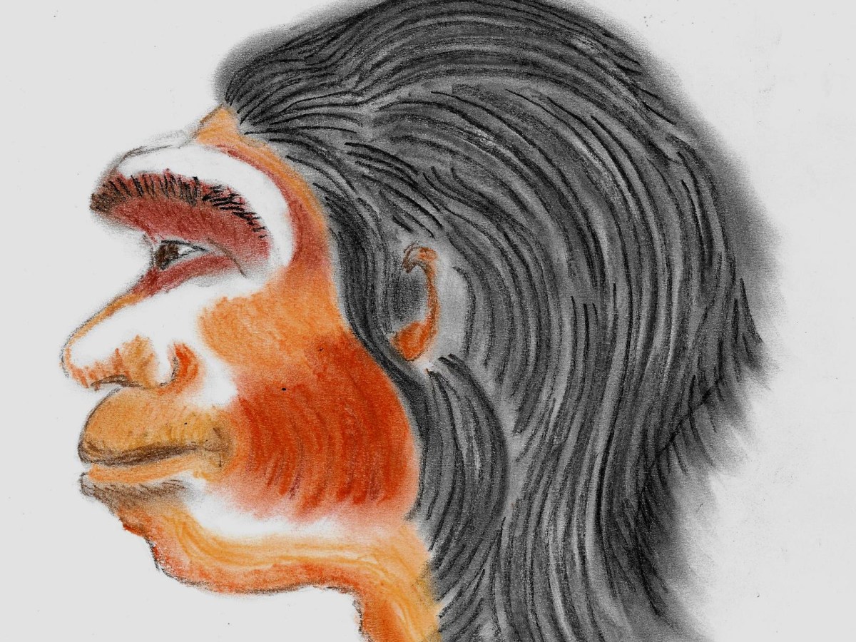 Dragon Man from&nbsp;China