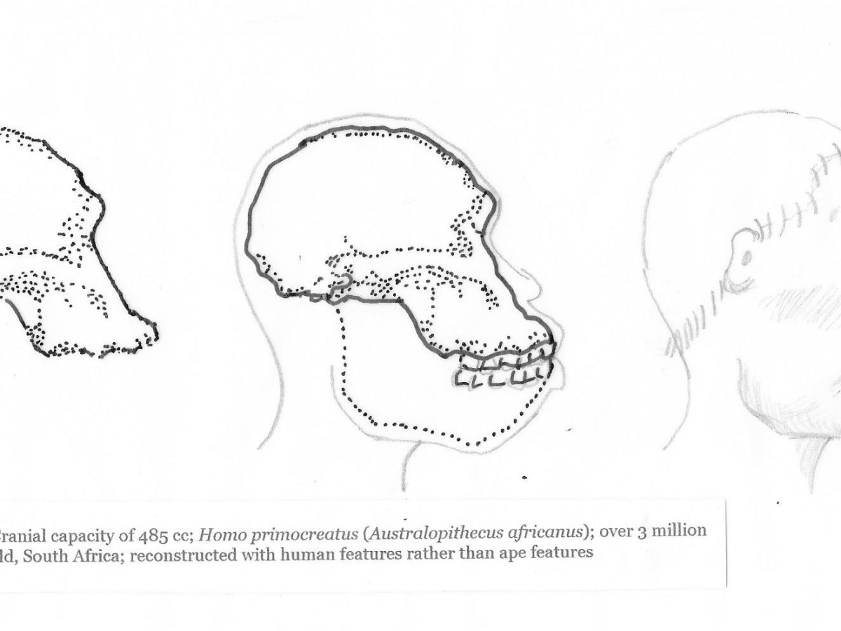 Quest for the historical&nbsp;Adam